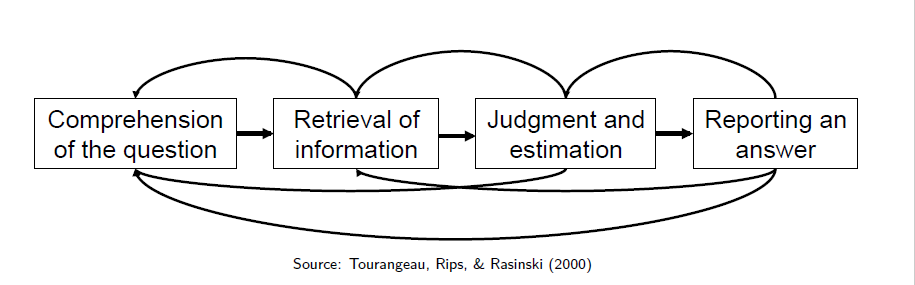 the cognitive process