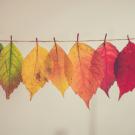Change over time